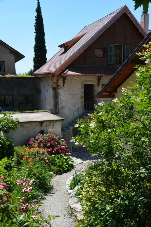 La Villanelle - Magnifique vue sur le lac, 5 minutes à pied de la plage Veyrier-du-Lac Exterior foto